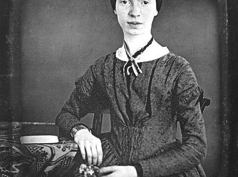 L’essenziale per Emily Dickinson: un cestino